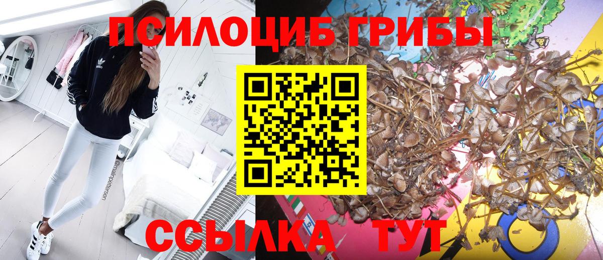 Снежинск  Галлюциногенные грибы GOLDEN TEACHER  Псилоцибиновые грибы Psilocybine cubensis  Вход с VPN 